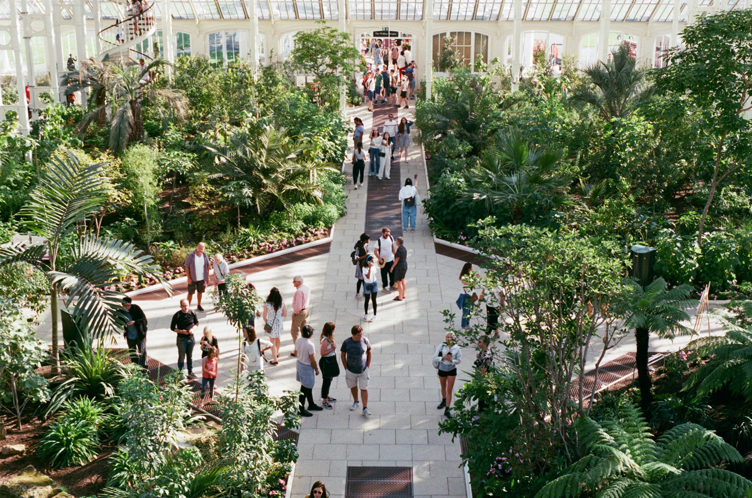 Theo 3 collaborative, acoustic, musical instrument